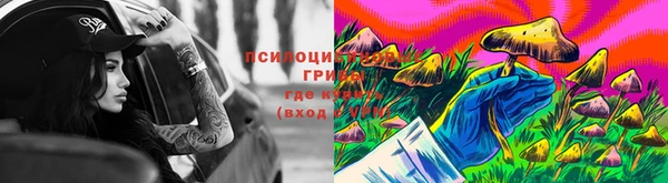 МДМА Козловка