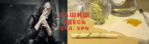 мдпв Козельск
