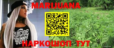 индика Новокубанск