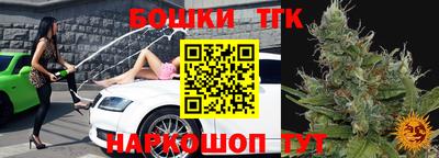 индика Новокубанск