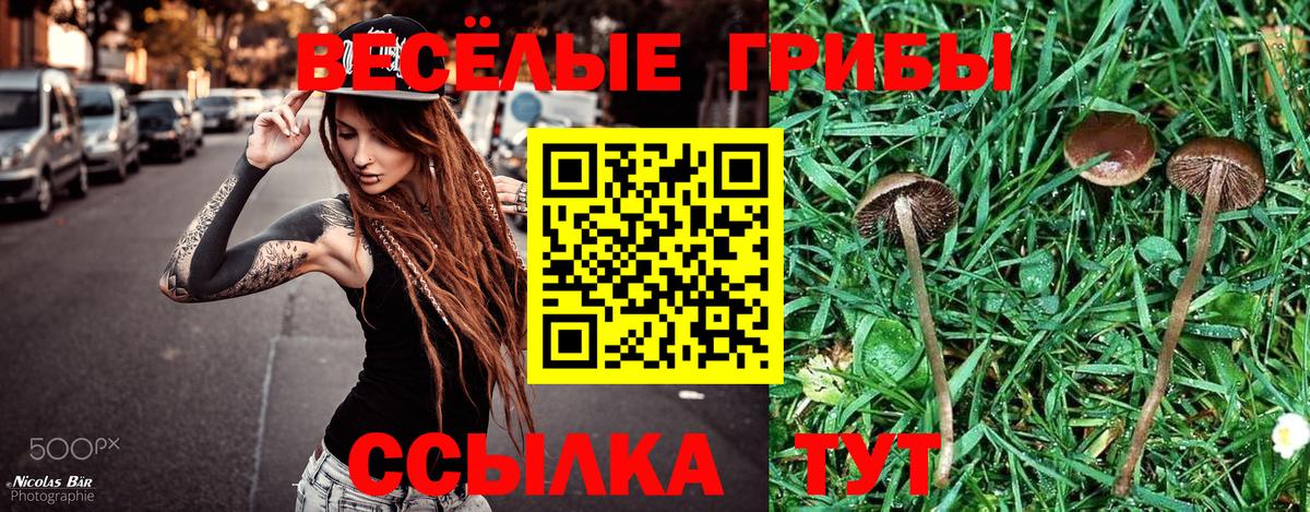 Галлюциногенные грибы Cubensis  Вход с VPN  Беслан  Псилоцибиновые грибы GOLDEN TEACHER 