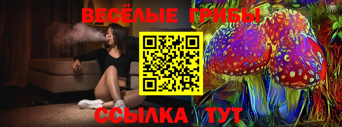 Псилоцибиновые грибы прущие грибы  Псилоцибиновые грибы Psilocybe  Беслан 